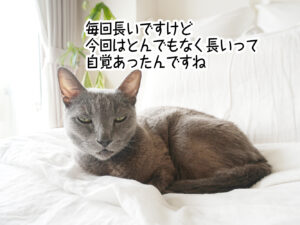 毎回長いですけど今回はとんでもなく長いって自覚あったんですね