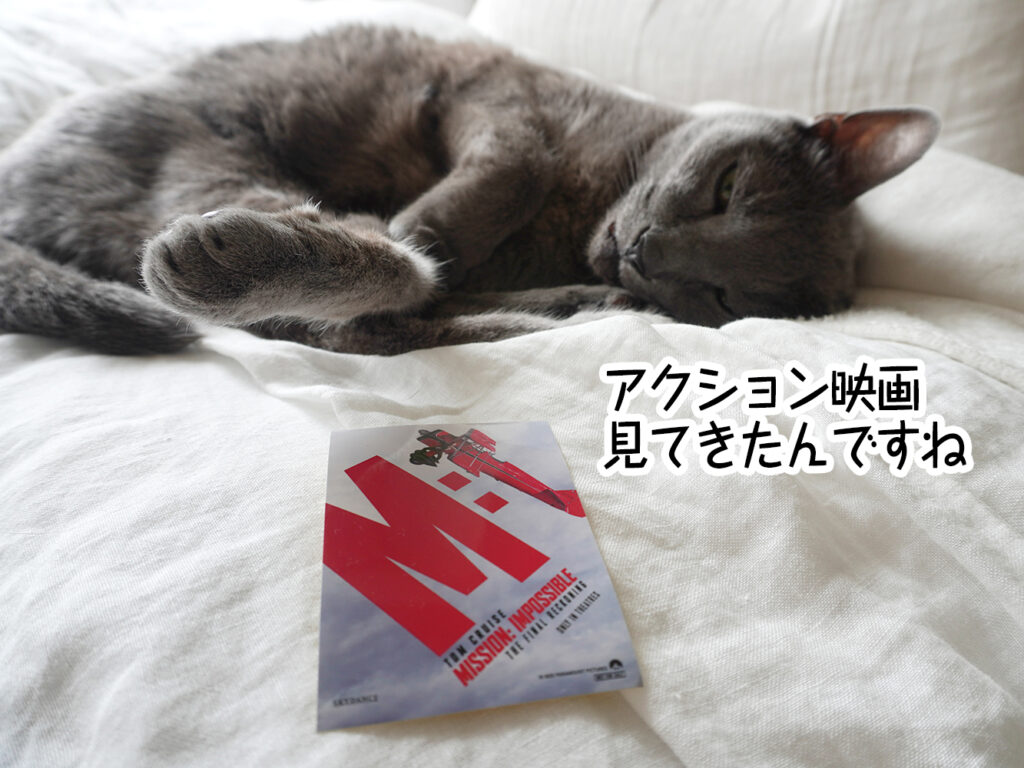 アクション映画見てきたんですね