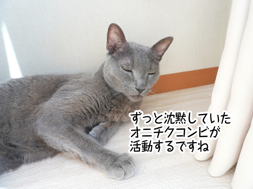 ずっと沈黙していたオニチクコンビが活動するですね