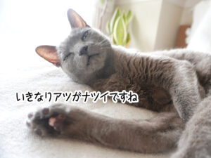 いきなりアツがナツイですね