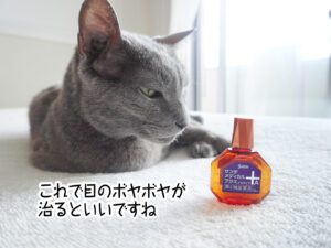 これで目のボヤボヤが 治るといいですね
