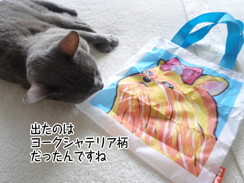 出たのはヨークシャテリア柄だったんですね
