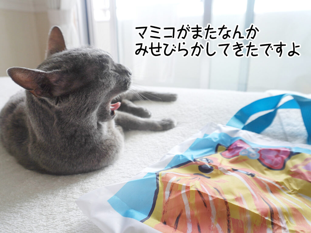 マミコがまたなんか みせびらかしてきたですよ