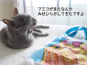 マミコがまたなんか みせびらかしてきたですよ