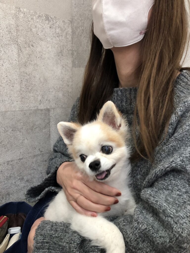 手術前の最後の撮影
