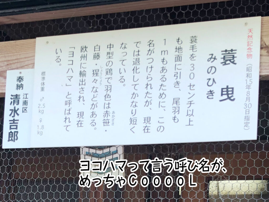 ヨコハマって言う呼び名が、めっちゃCooooL