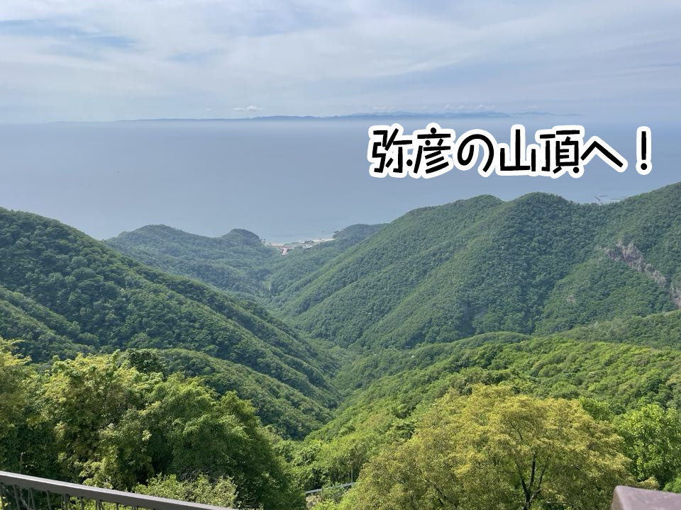 弥彦の山頂へ!