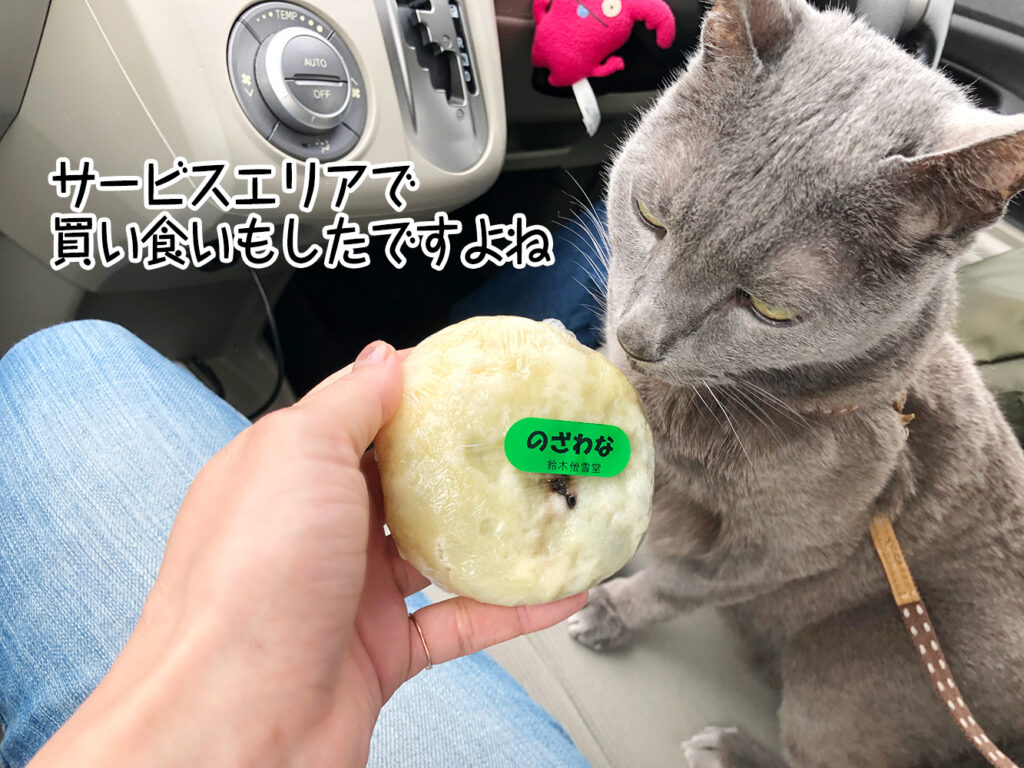 サービスエリアで買い食いもしたですよね