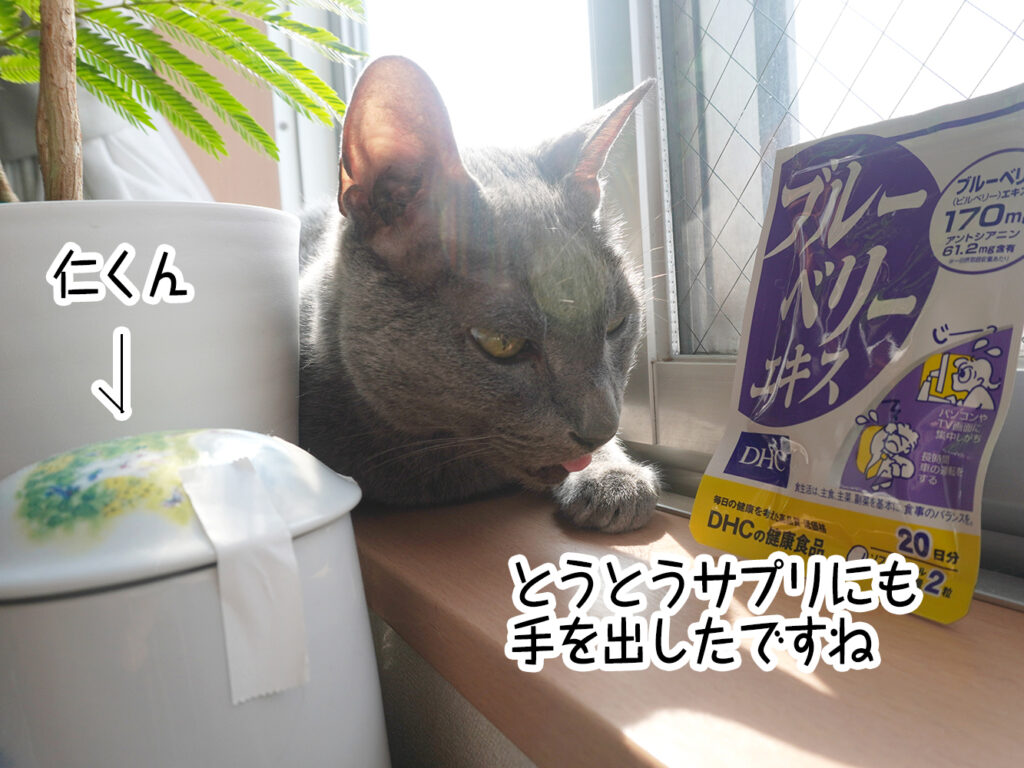 とうとうサプリにも 手を出したですね