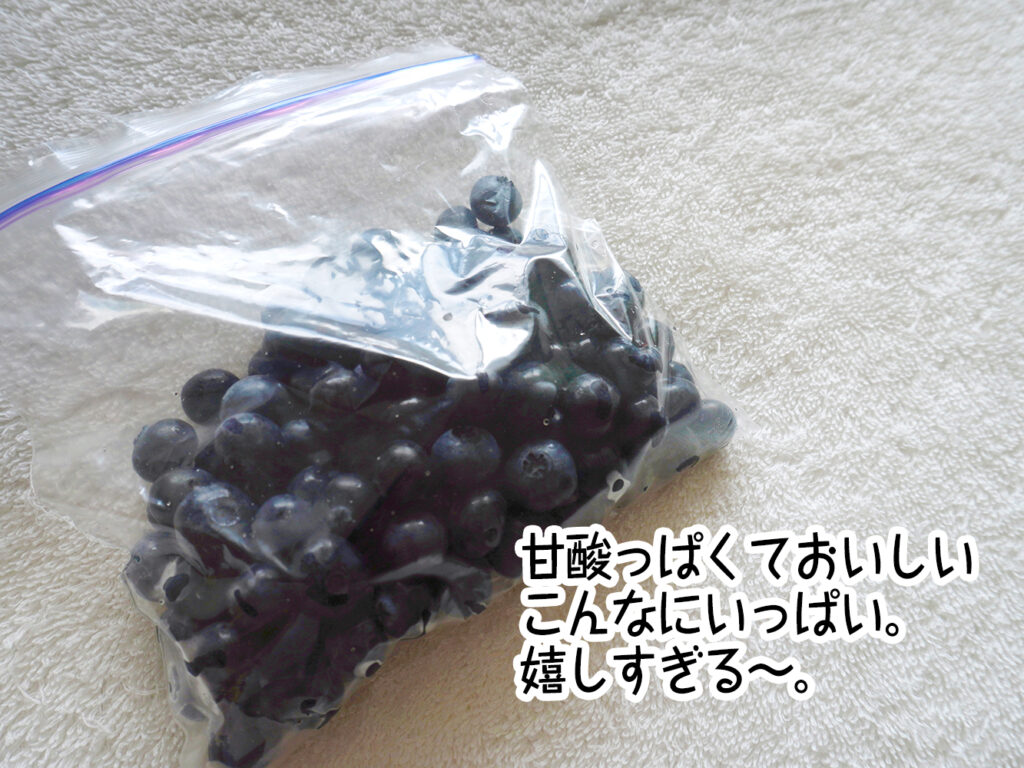 甘酸っぱくておいしい。こんなにいっぱい。嬉しすぎる~。