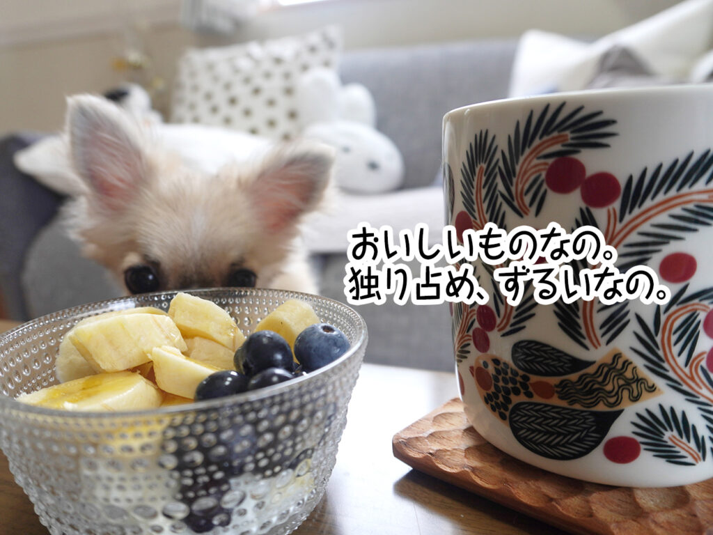 おいしいものなの。独り占め、ずるいなの。