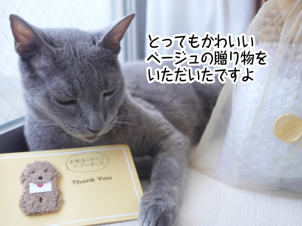 とってもかわいいベージュの贈り物をいただいたですよ