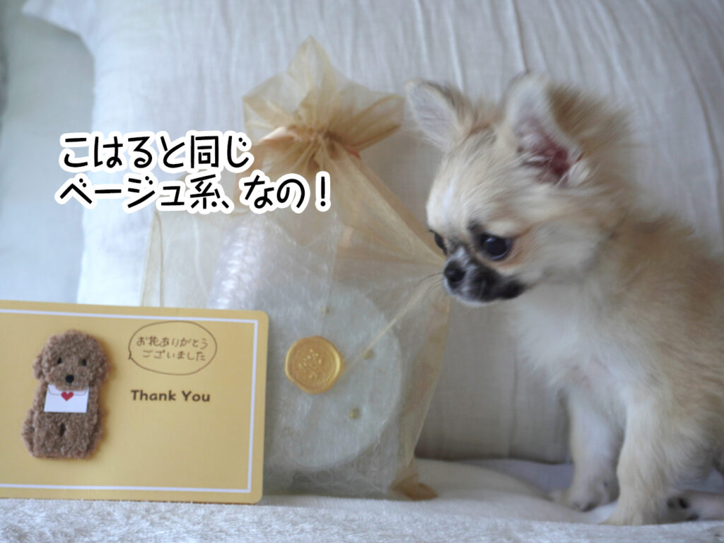 こはると同じベージュ系、なの！