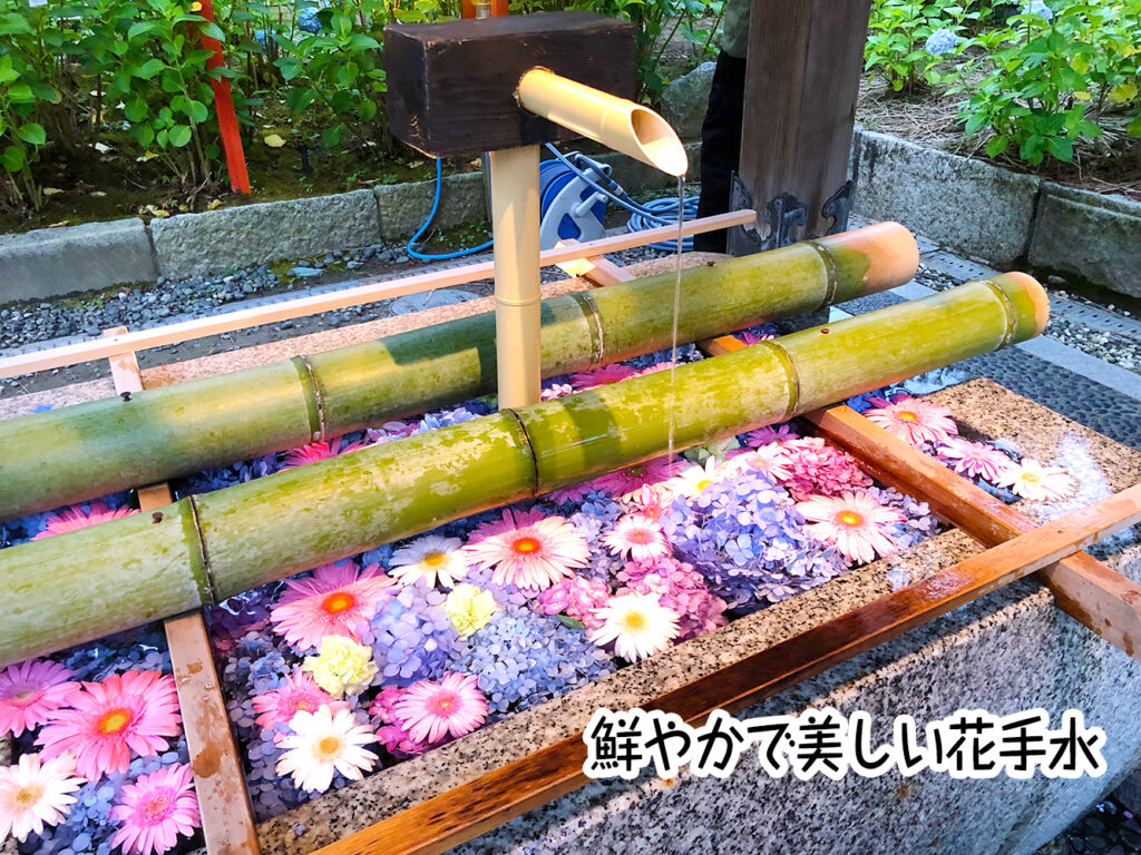 鮮やかで美しい花手水