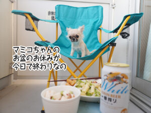 マミコちゃんのお盆のお休みが今日で終わりなの