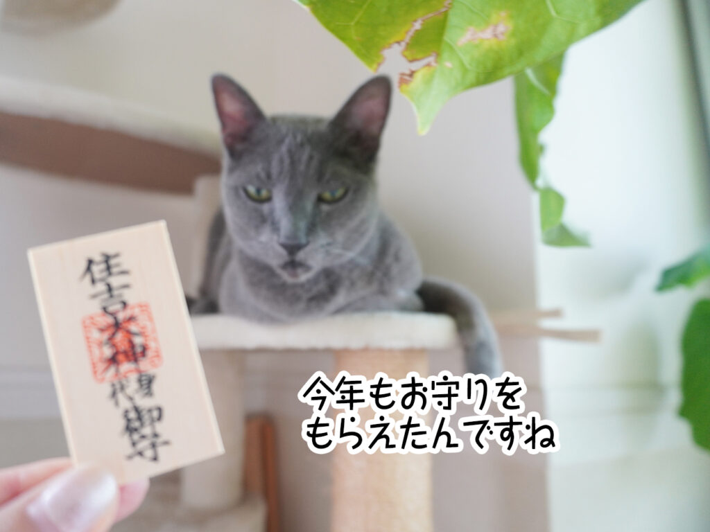 今年もお守りをもらえたんですね