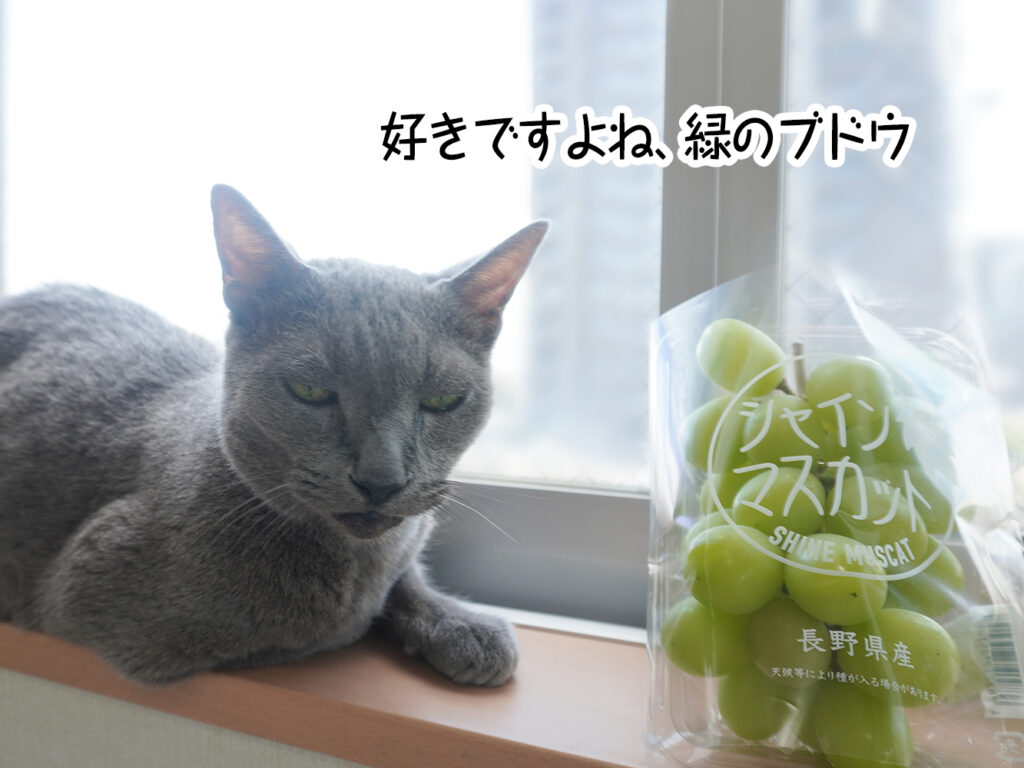 好きですよね、緑のブドウ