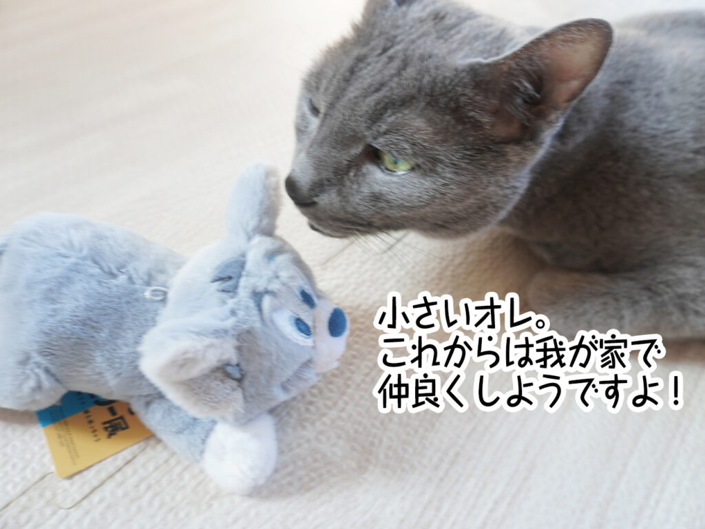 小さいオレ。これからは我が家で仲良くしようですよ！