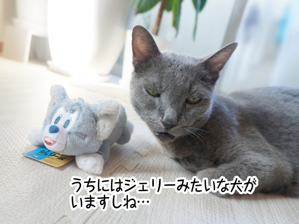うちにはジェリーみたいな犬がいますしね…
