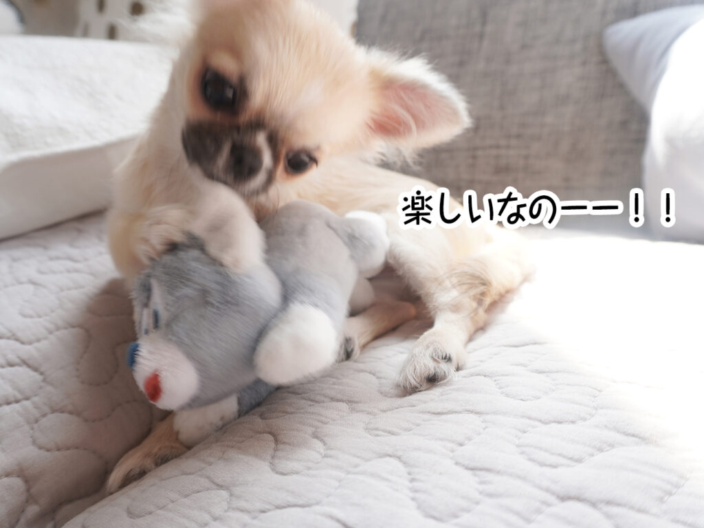 楽しいなのーー！！