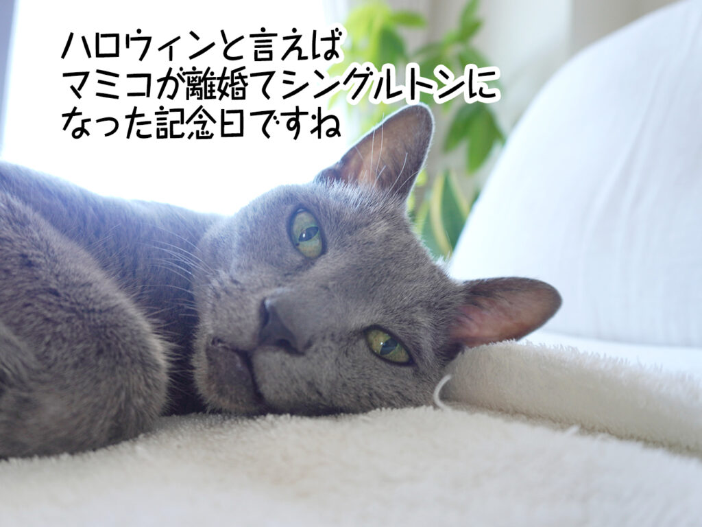 ハロウィンと言えばマミコが離婚てシングルトンになった記念日ですね