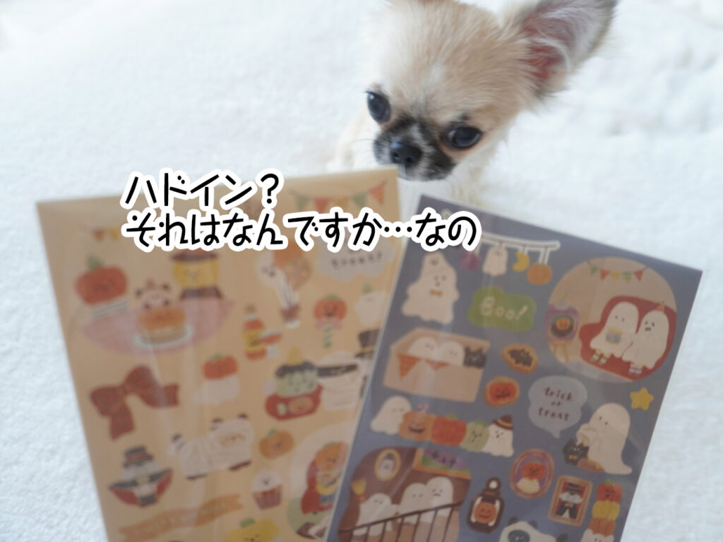 ハドイン?それはなんですか…なの