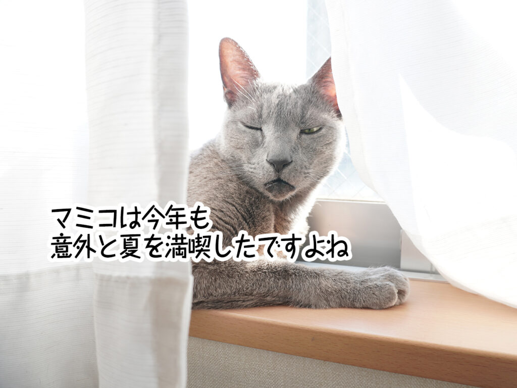 マミコは今年も意外と夏を満喫したですよね