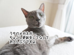 うちのメガネが ちょこし更新をしてなくて お久しぶりですよ