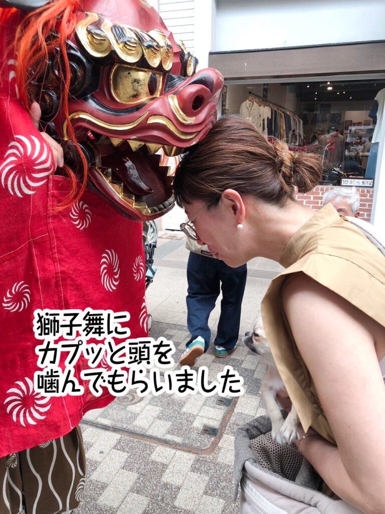 獅子舞にカプッと頭を噛んでもらいました