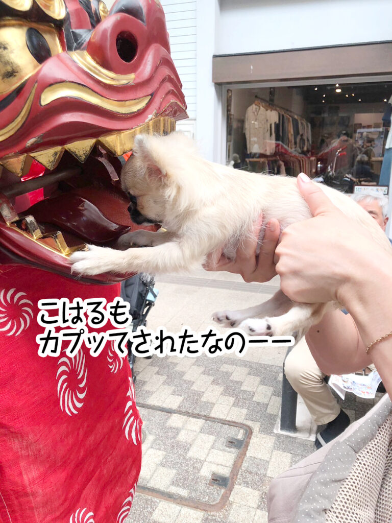 こはるもカプッてされたなのーー