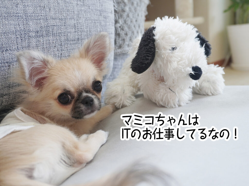 マミコちゃんはITのお仕事してるなの！