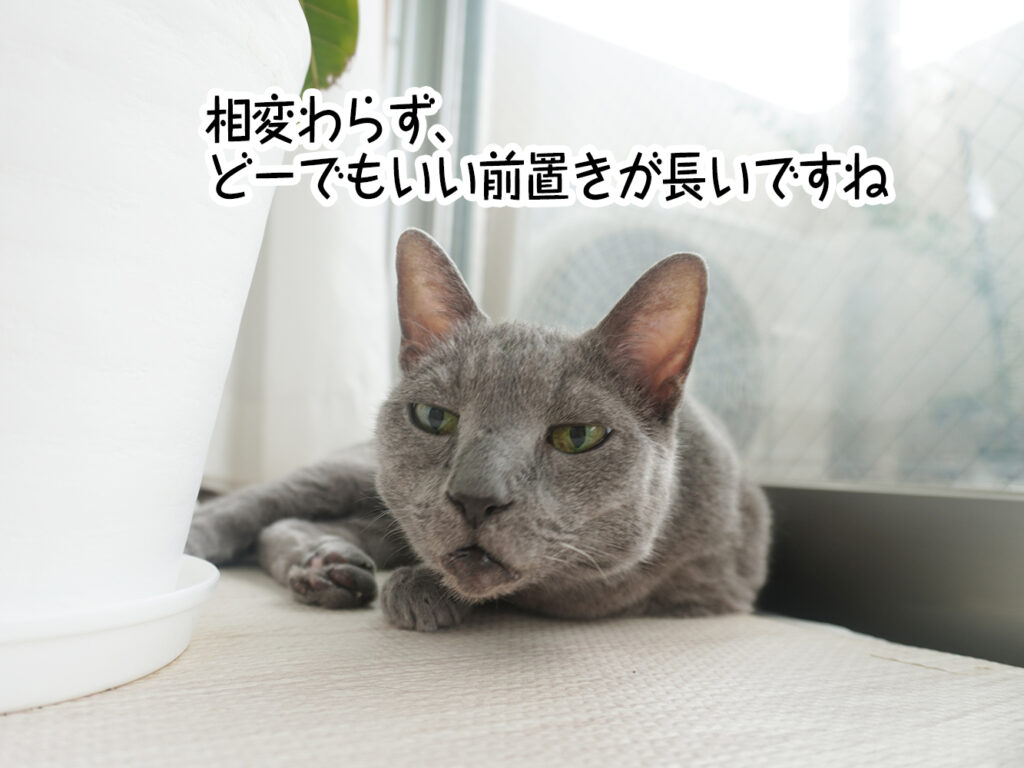 相変わらず、どーでもいい前置きが長いですね