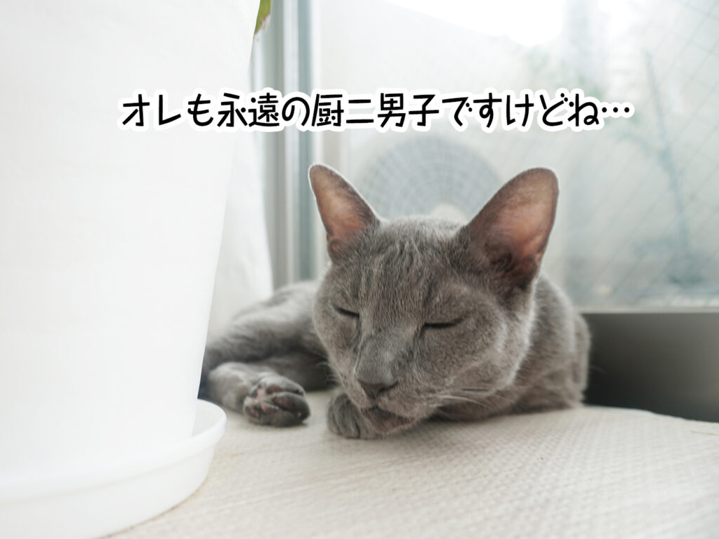 オレも永遠の厨二男子ですけどね…