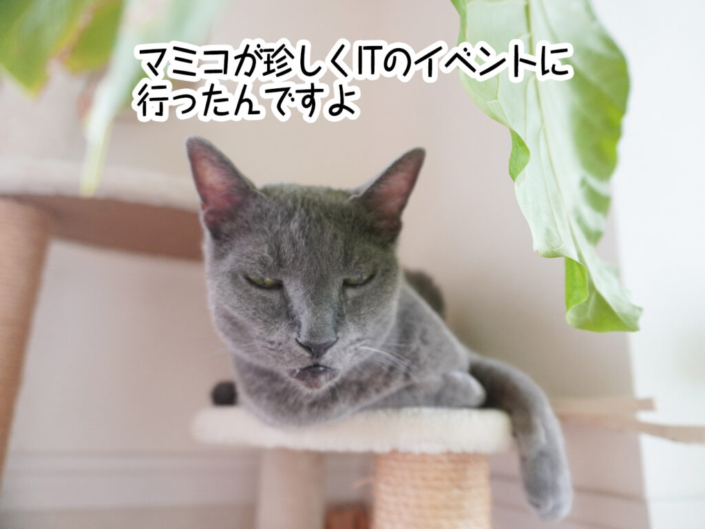マミコが珍しくITのイベントに行ったんですよ