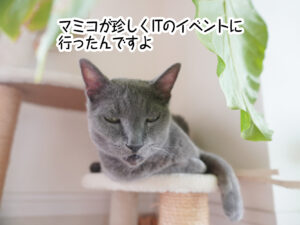 マミコが珍しくITのイベントに行ったんですよ
