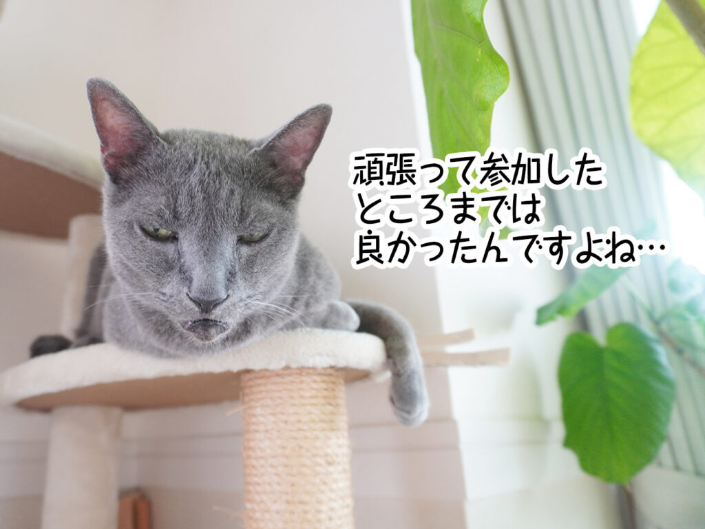 頑張って参加したところまでは良かったんですよね…