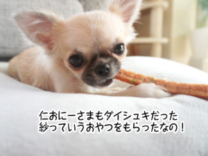 仁おにーさまもダイシュキだった紗っていうおやつをもらったなの！