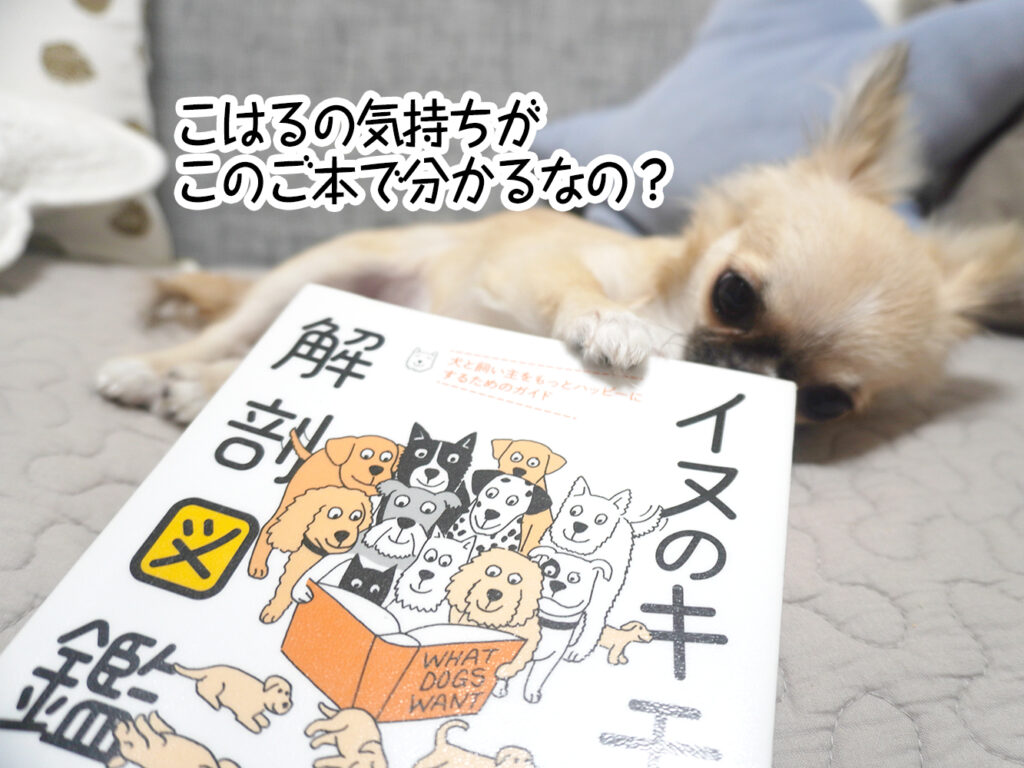 こはるの気持ちがこのご本で分かるなの?