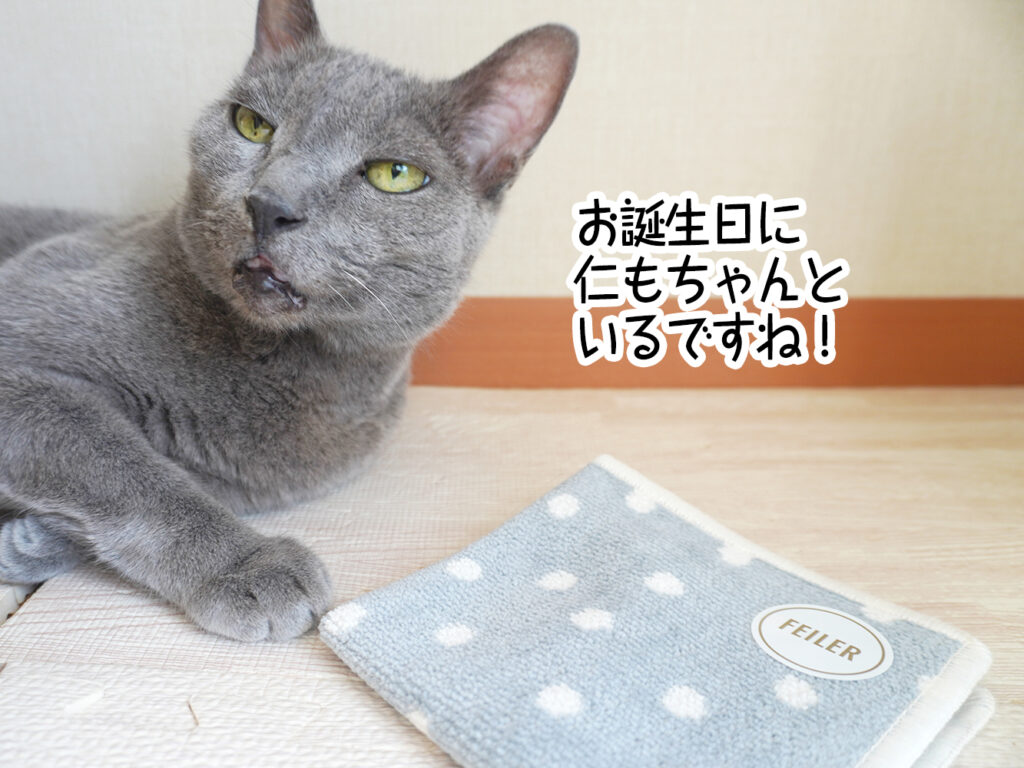 お誕生日に仁もちゃんといるですね!
