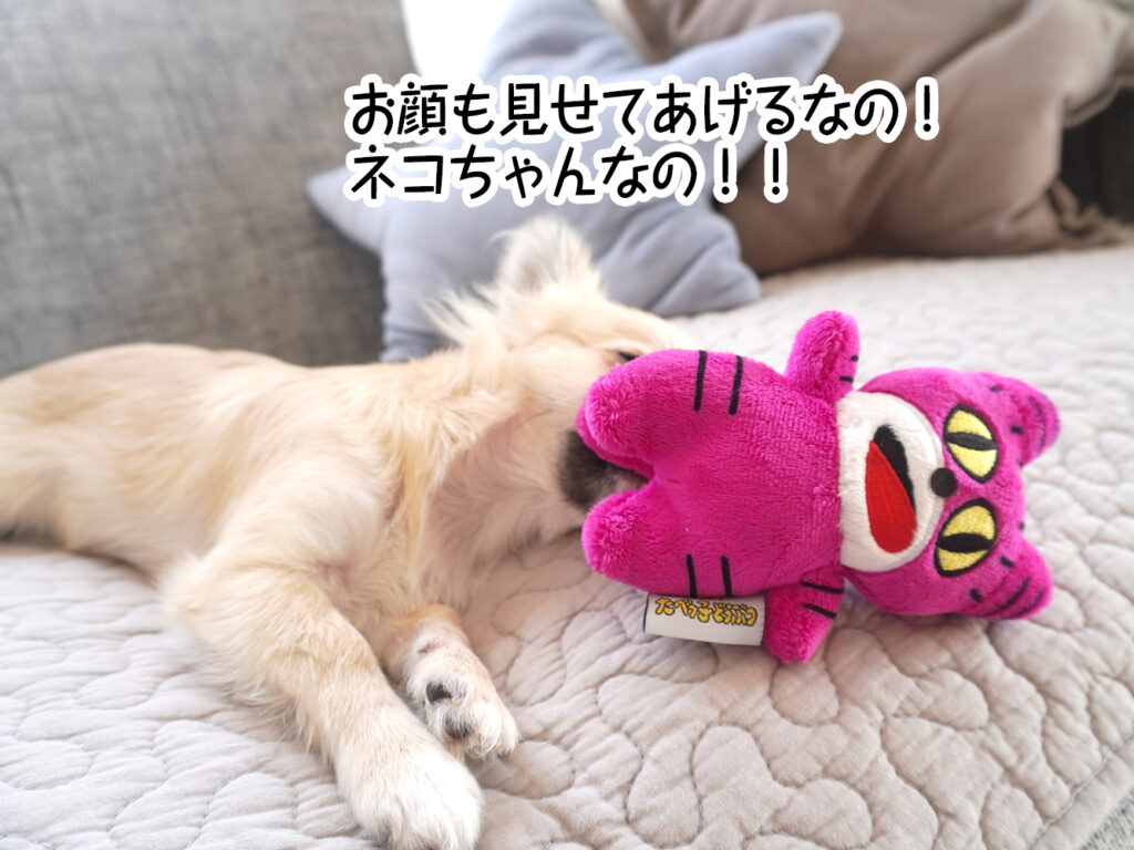 お顔も見せてあげるなの!ネコちゃんなの!!