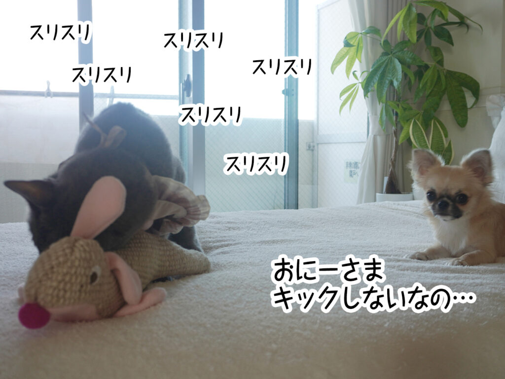 おにーさま、キックしないなの…