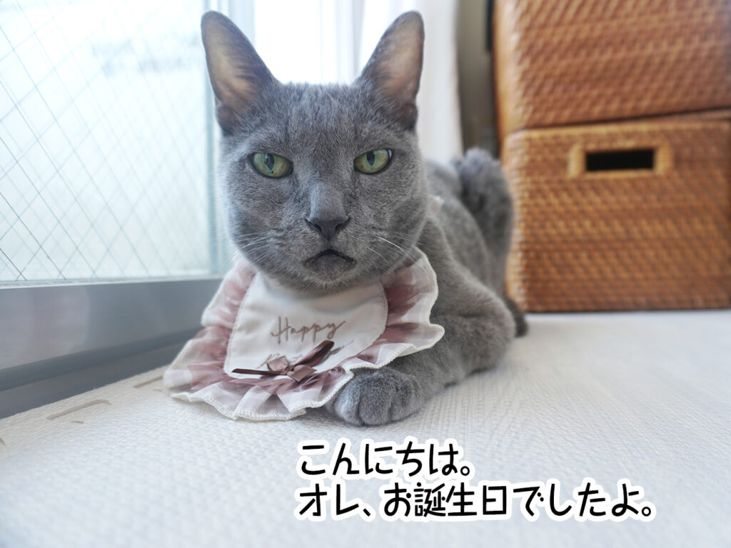 こんにちは。オレ、お誕生日でしたよ。