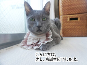 こんにちは。オレ、お誕生日でしたよ。