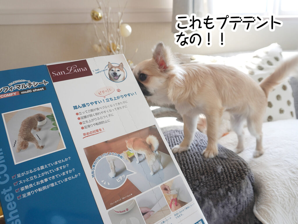 これもプデデントなの!!