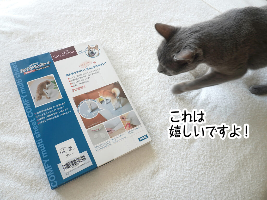 これは嬉しいですよ!