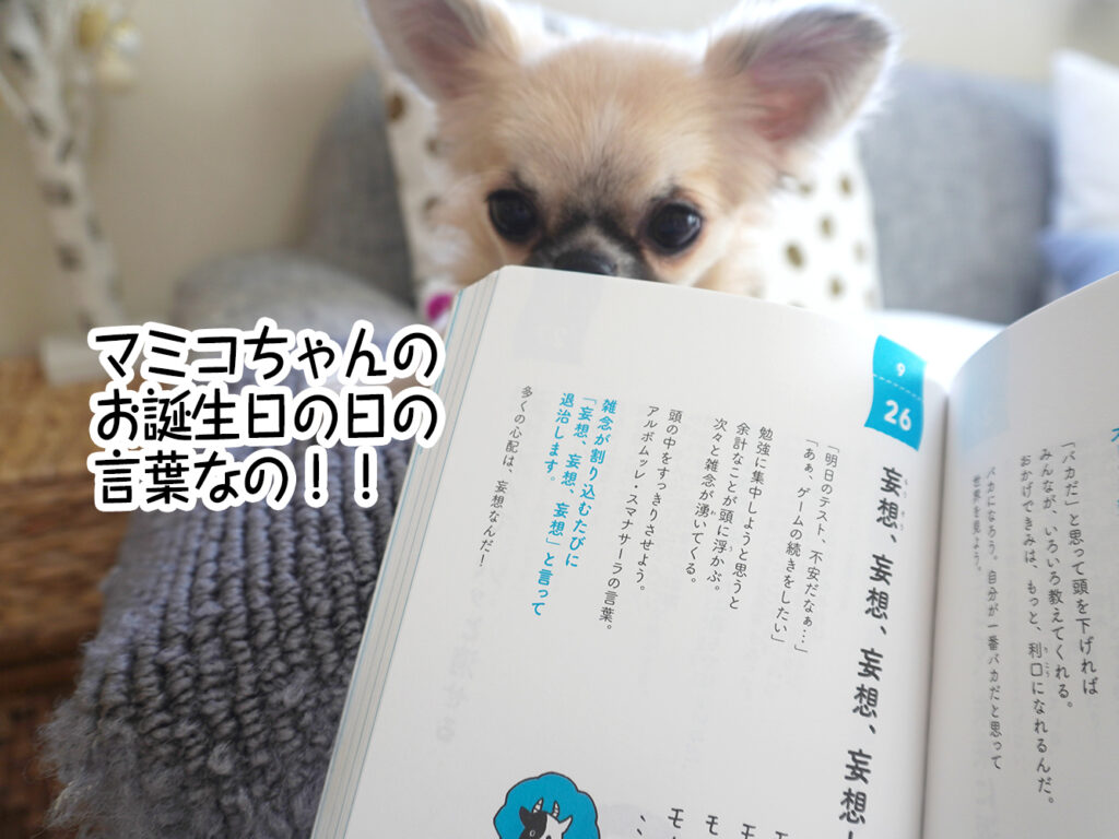 マミコちゃんのお誕生日の日の言葉なの!!