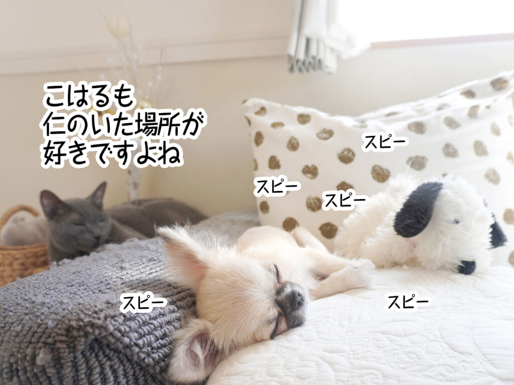 こはるも仁のいた場所が好きですよね