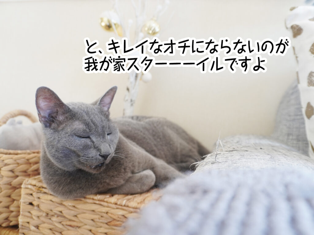 と、キレイなオチにならないのが我が家スターーーイルですよ
