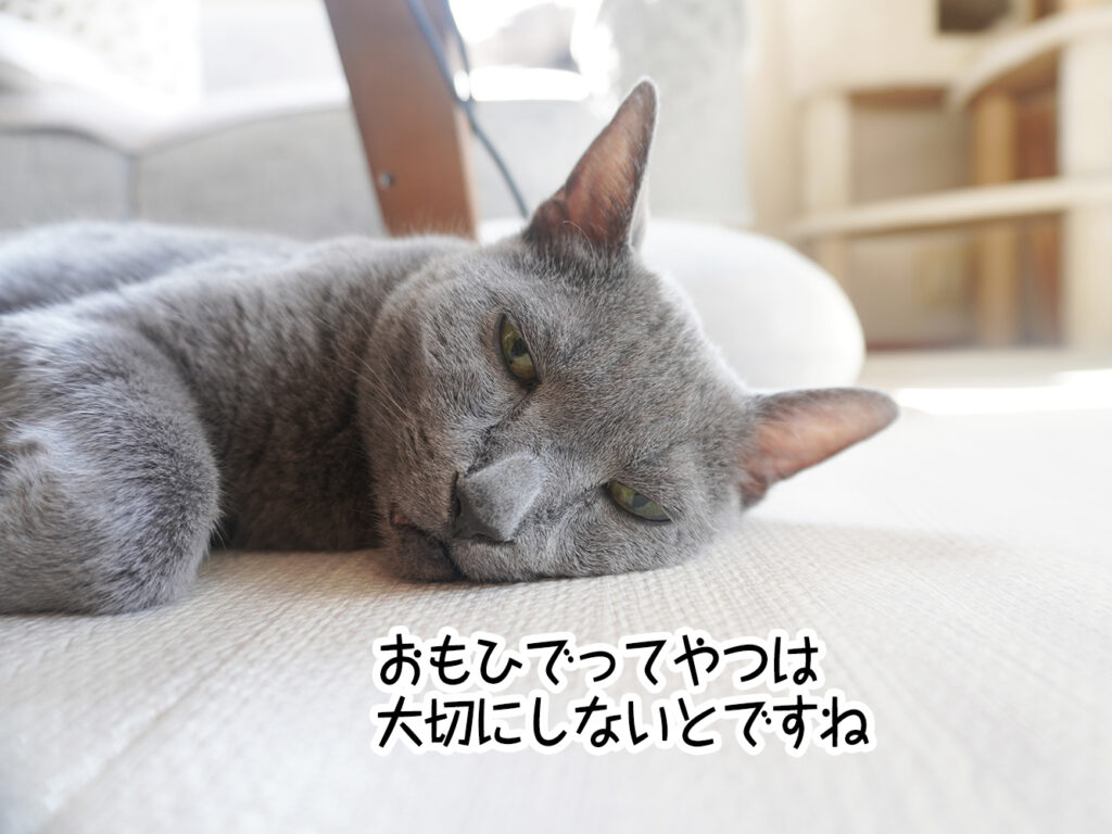 おもひでってやつは大切にしないとですね