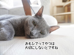 おもひでってやつは大切にしないとですね